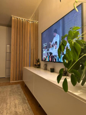 Central Apartment